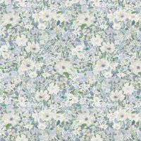 dsSTELLA-DCJ3495 MULTI